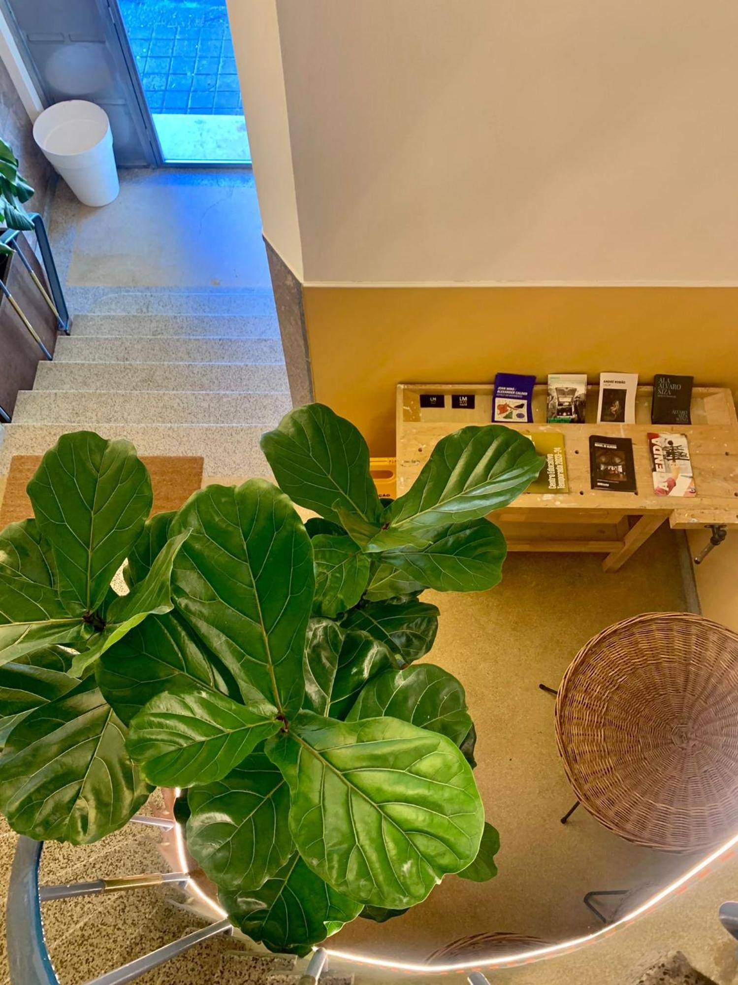 Apartment Lm Art *